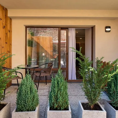 Blumenhaus Sibiu-2